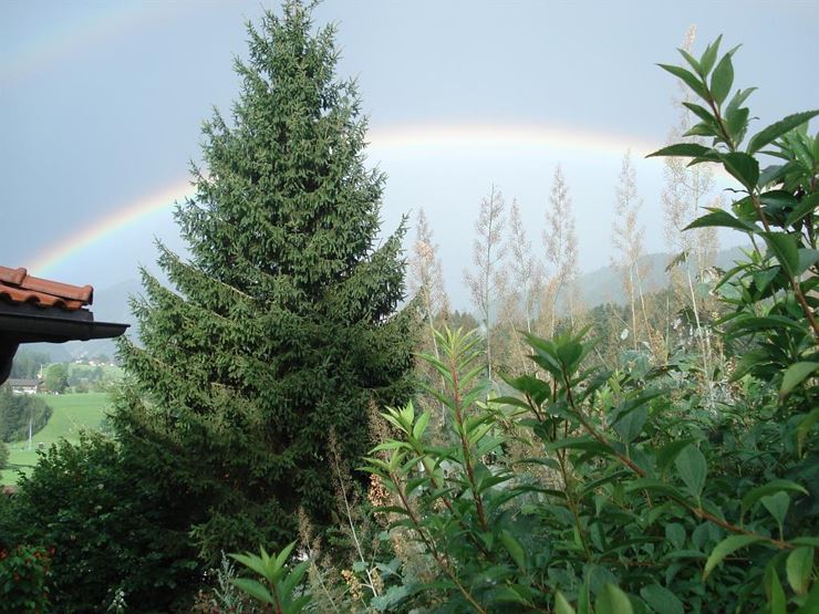 Pension Perle Tirol - Schwoich